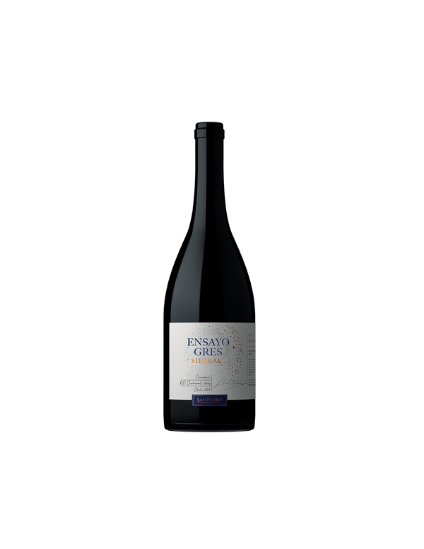 Ensayo ánfora - Carmenere 2023 - 1 Botella