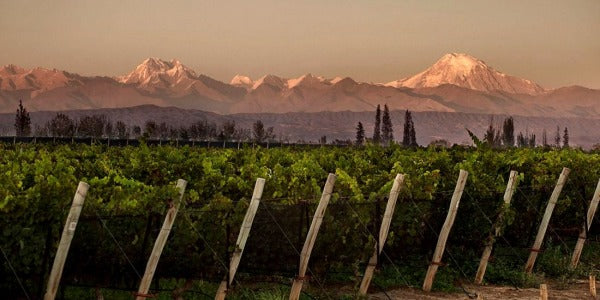 Día Mundial del Malbec