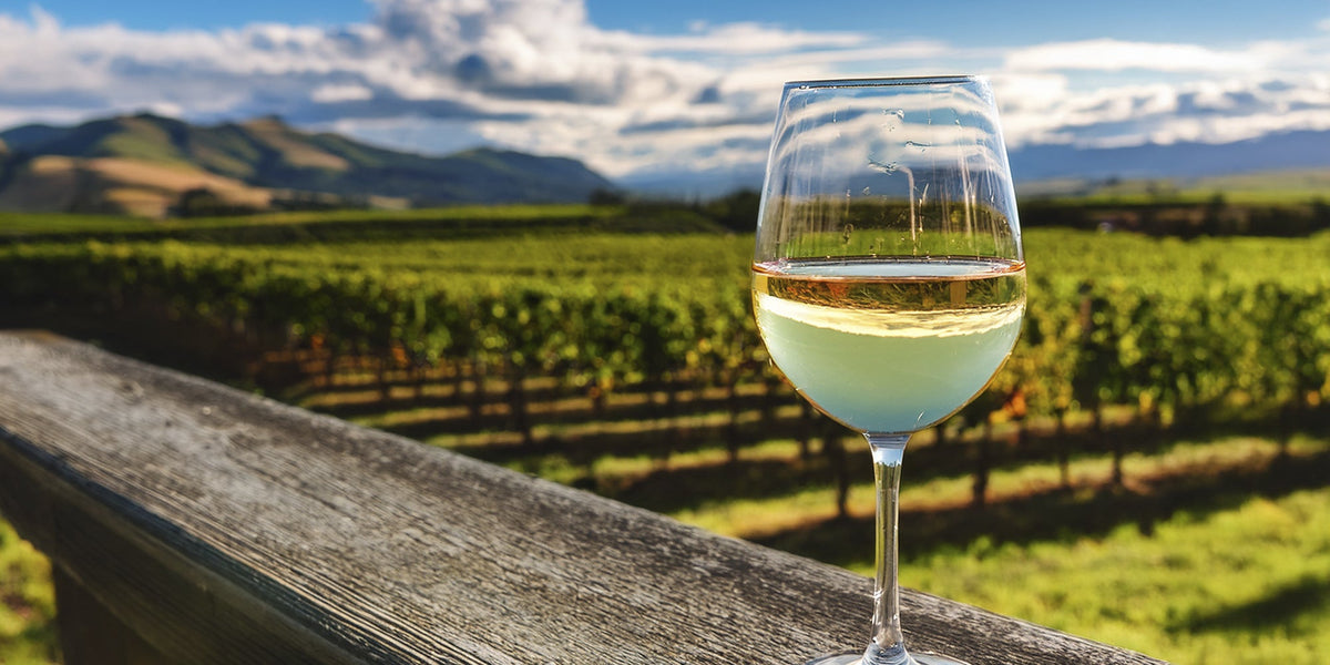 El Manifiesto del Cristal y la Brisa: Una Ruta por el Sauvignon Blanc en Catadores Wine Boutique