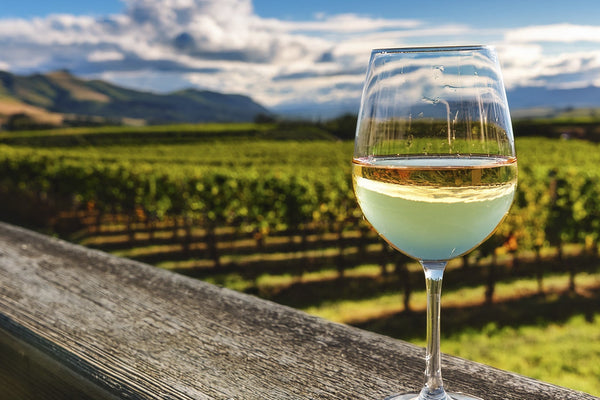 El Manifiesto del Cristal y la Brisa: Una Ruta por el Sauvignon Blanc en Catadores Wine Boutique