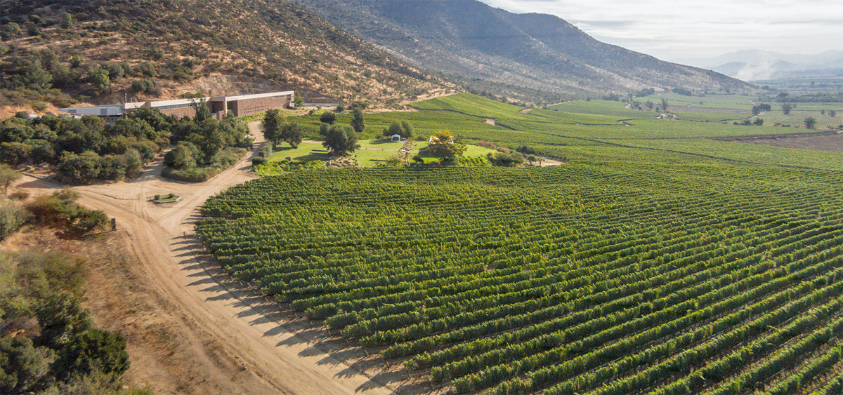 Catadores te invita al Enoturismo en el Valle de Cachapoal