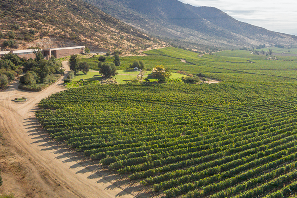 Catadores te invita al Enoturismo en el Valle de Cachapoal