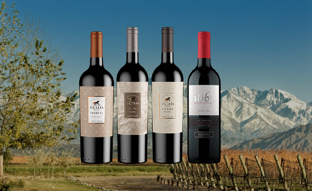 Día del Malbec