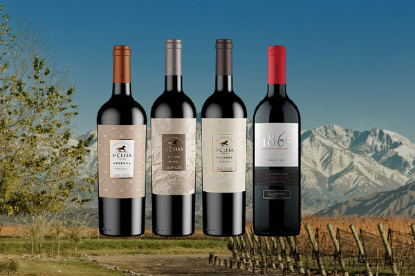 Día del Malbec
