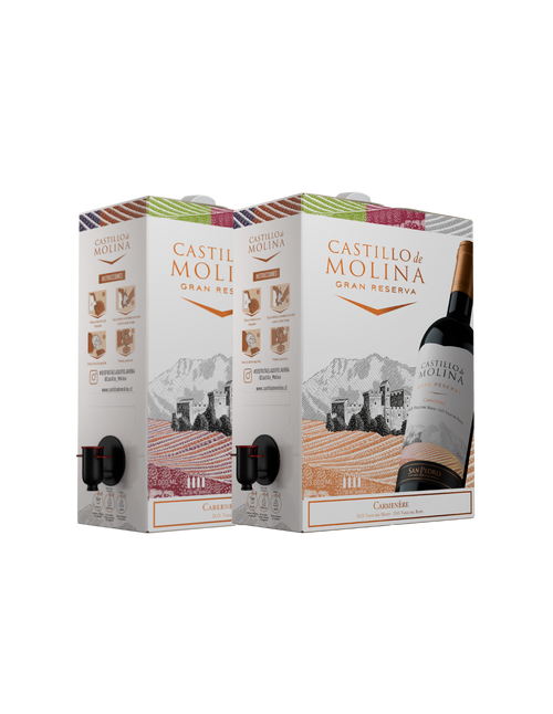 Pack Bag in Box Castillo de Molina Mixto