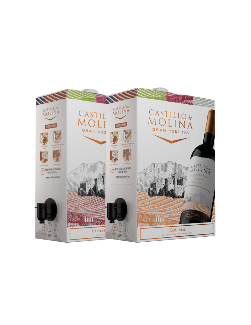 Pack Bag in Box Castillo de Molina Mixto