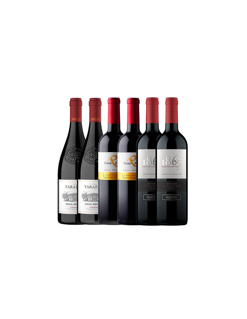 Pack Especial Valle del Maipo